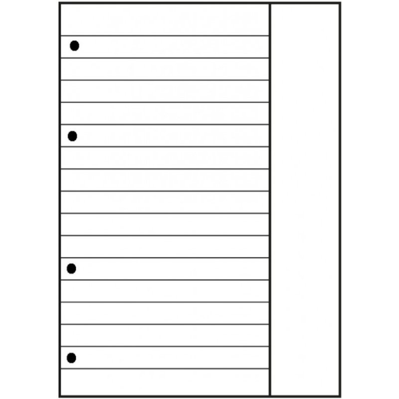 Oxford Cahier scolaire, A4, 100 pages, encollé en tête,