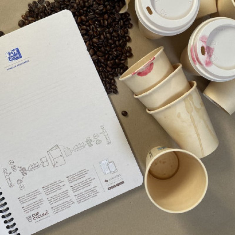 Oxford SPIRAALBLOK bloc-notes A4 90 feuilles Rose