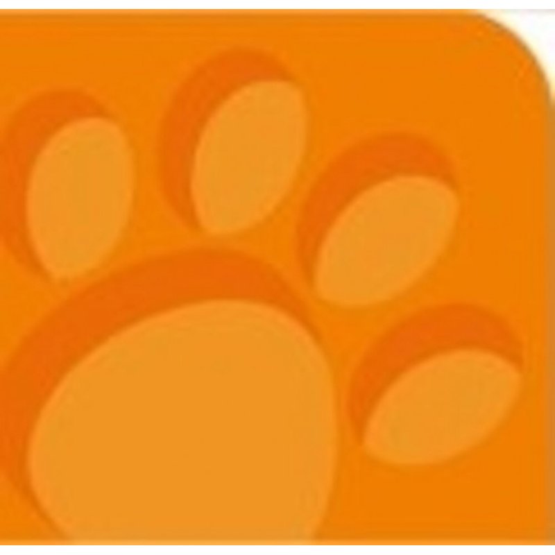 Oxford 100050325 writing notebook A4 Orange