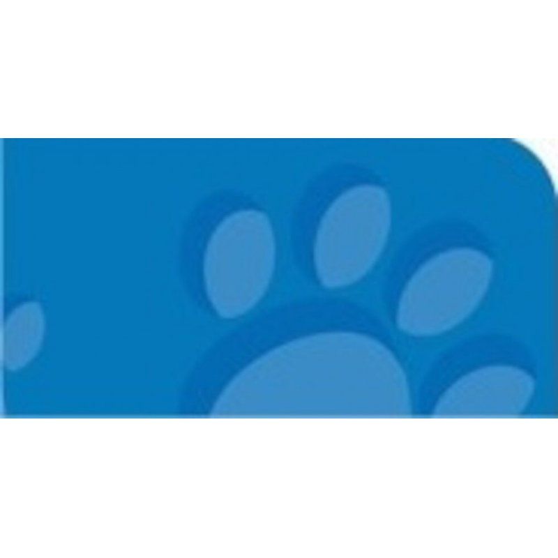 Oxford 100050323 writing notebook A4 Blue