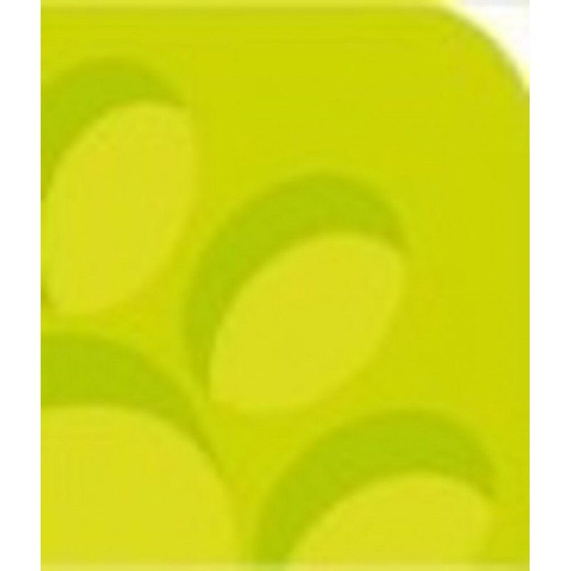 Oxford 100050322 writing notebook A4 Green