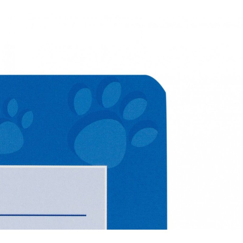 Oxford 100050376 writing notebook A5 Blue