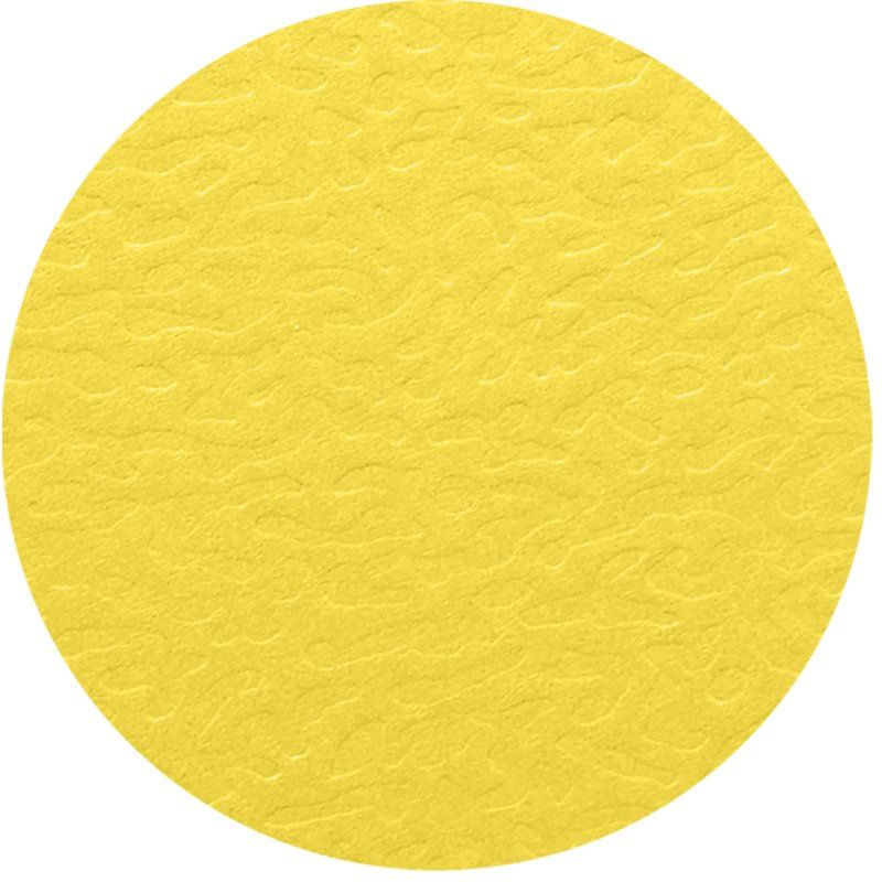 Oxford 400126593 fichier Jaune A4