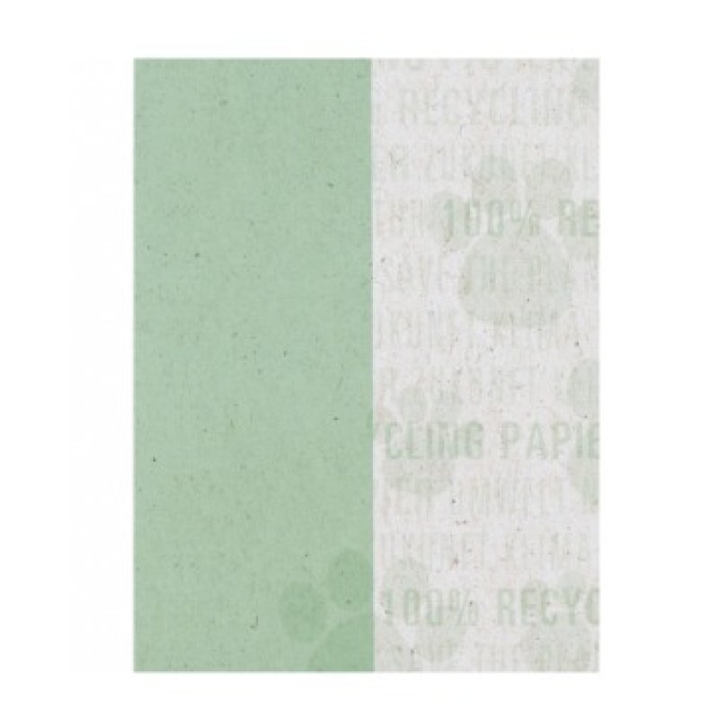 Oxford 400159557 writing notebook A4 100 sheets Green