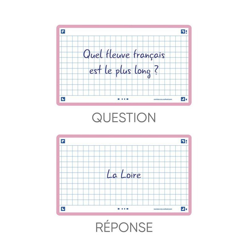 Oxford 400133857 intercalaire Rose 80 pièce(s)