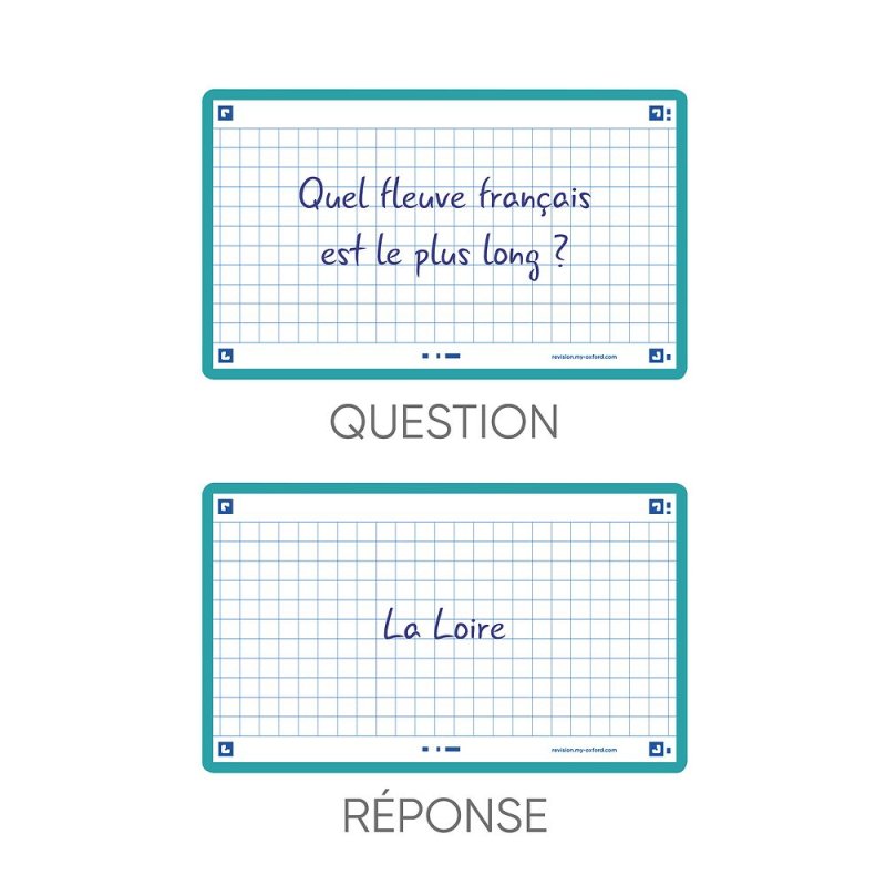 Oxford 400133873 index card Mint colour 80 pc(s)