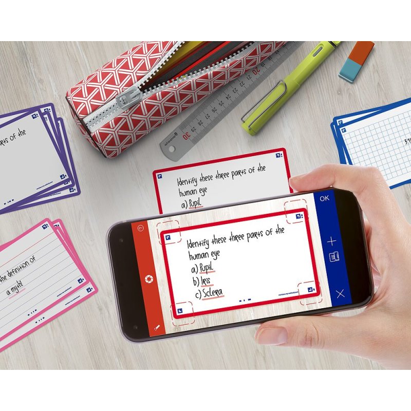 Oxford 400133892 index card Red 80 pc(s)