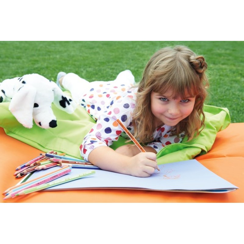 STABILO Crayon de couleur Trio long, corps large, étui de 24