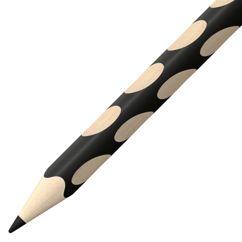 STABILO Crayon de couleur EASYcolors, pour droitiers, noir