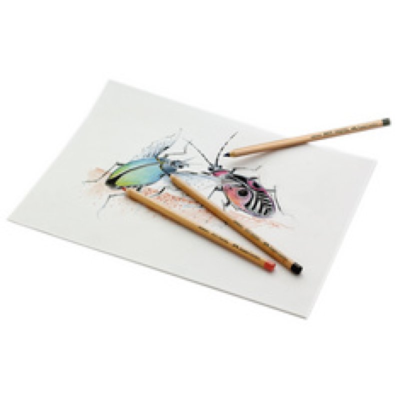 FABER-CASTELL Crayon de couleur PITT PASTELL, sépia foncé