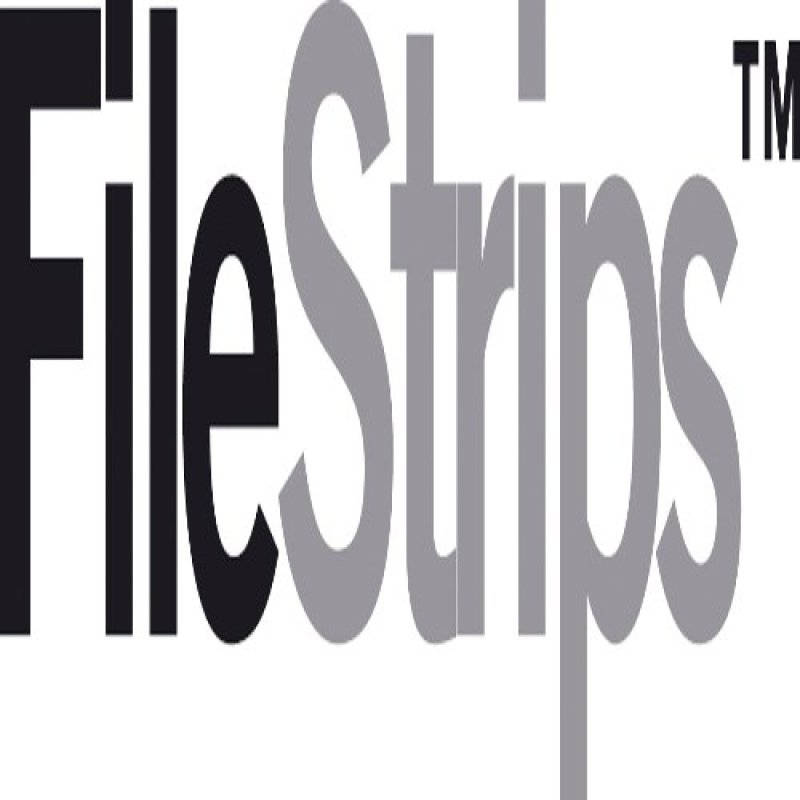 GBC Bande de classement FileStrips, reliure plastique/métal