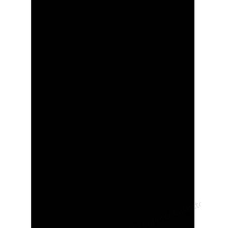 GBC Plats de Couverture PolyOpaque A4 300 microns noir (100)