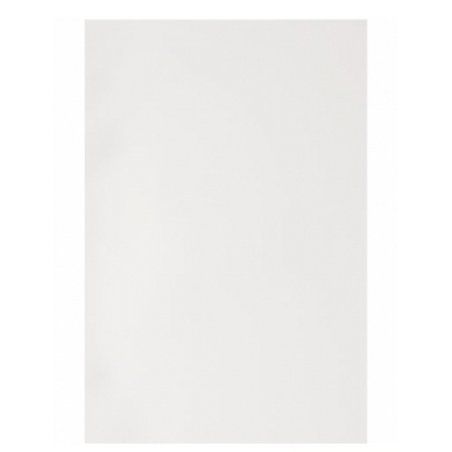 GBC Plats de Couverture PolyOpaque A4 300 microns blanc (100)