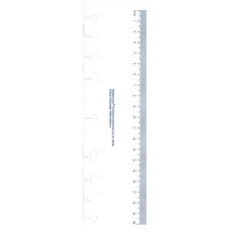 rido idé Accessoire pour agenda "Règle", transparent