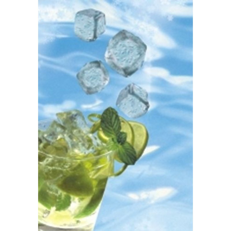 Papstar 10701 ice tray 24 pc(s) Ice bag