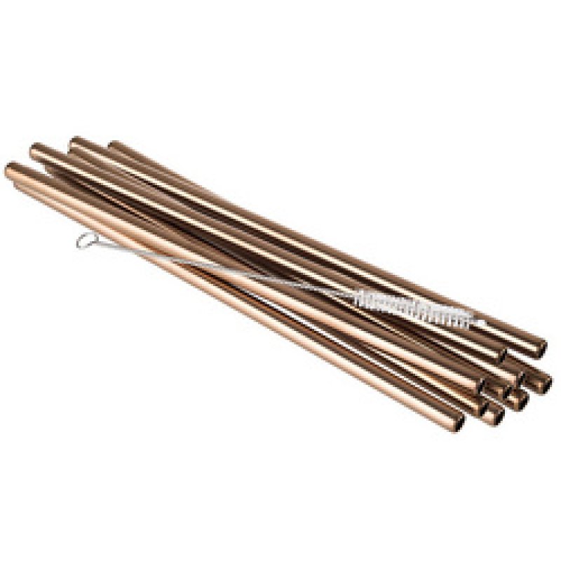 APS Goupillon de remplacement pour paille, acier inoxydable