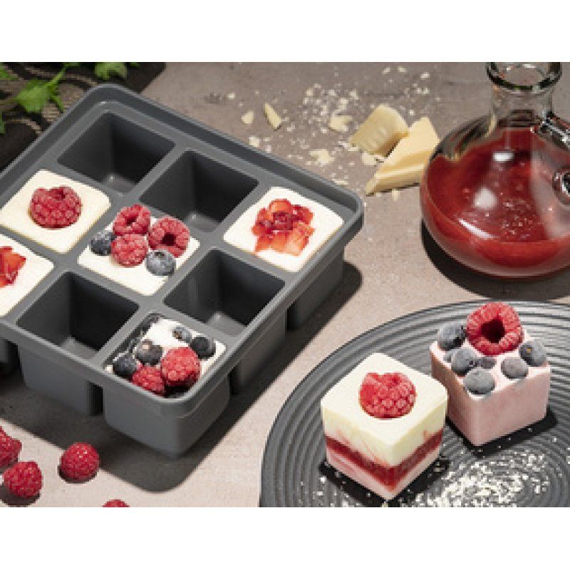 APS Bac à glaçons avec couvercle, transparent / gris