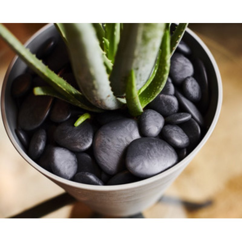 tera Pierres décoratives "Pebbles", taille S, blanc