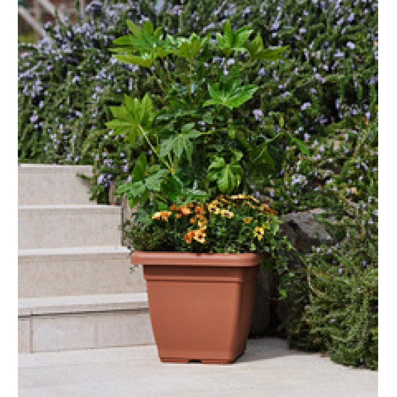 tera Pot de fleurs "Nazca", largeur: 200 mm, terracotta