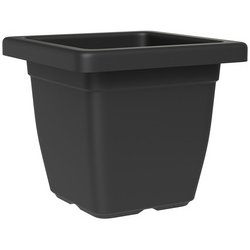 tera Soucoupe "Nazca", largeur: 220 mm, anthracite