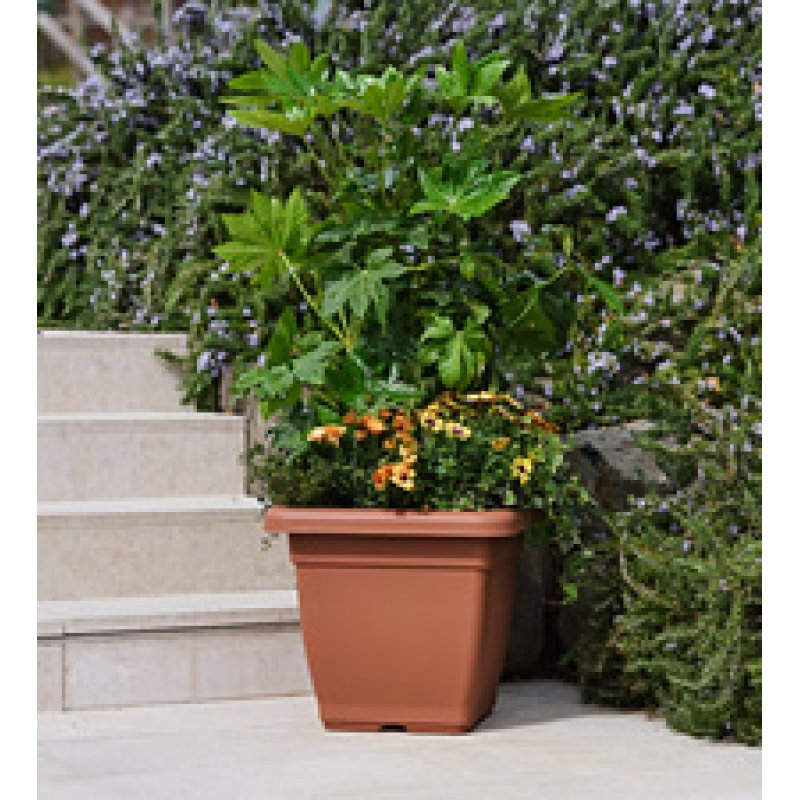 tera Soucoupe "Nazca", largeur: 220 mm, anthracite