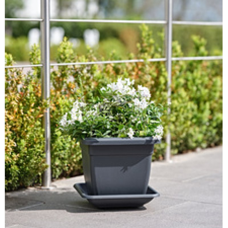 tera Soucoupe "Nazca", largeur: 290 mm, anthracite