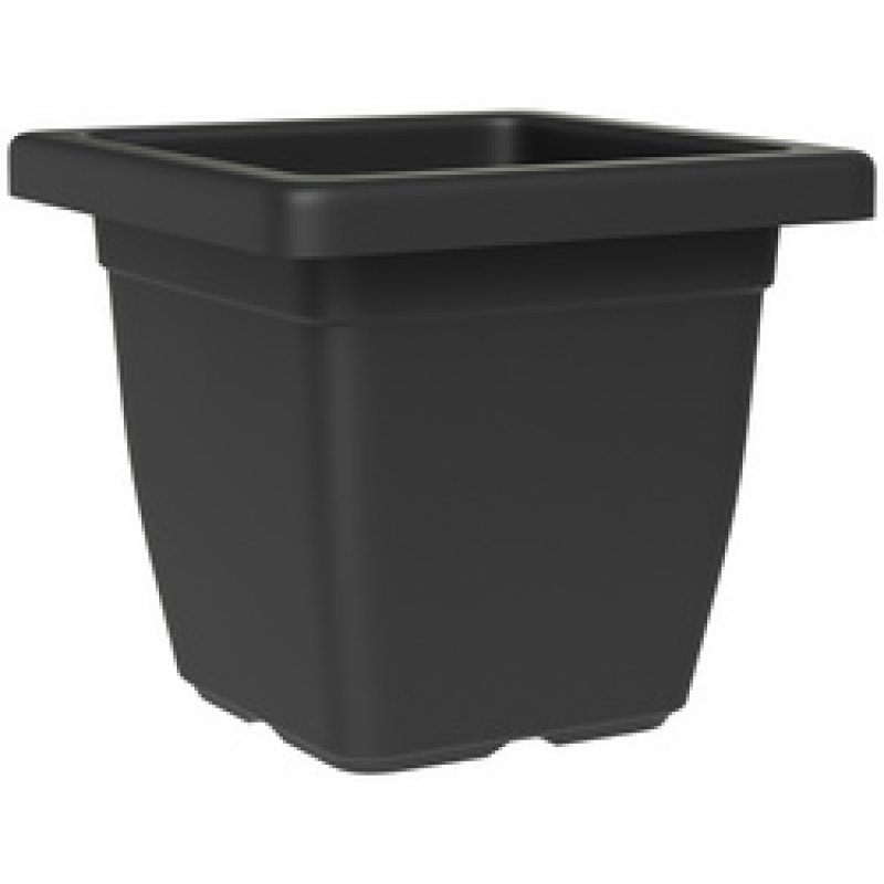 tera Soucoupe "Nazca", largeur: 320 mm, anthracite