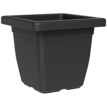 tera Soucoupe "Nazca", largeur: 320 mm, anthracite