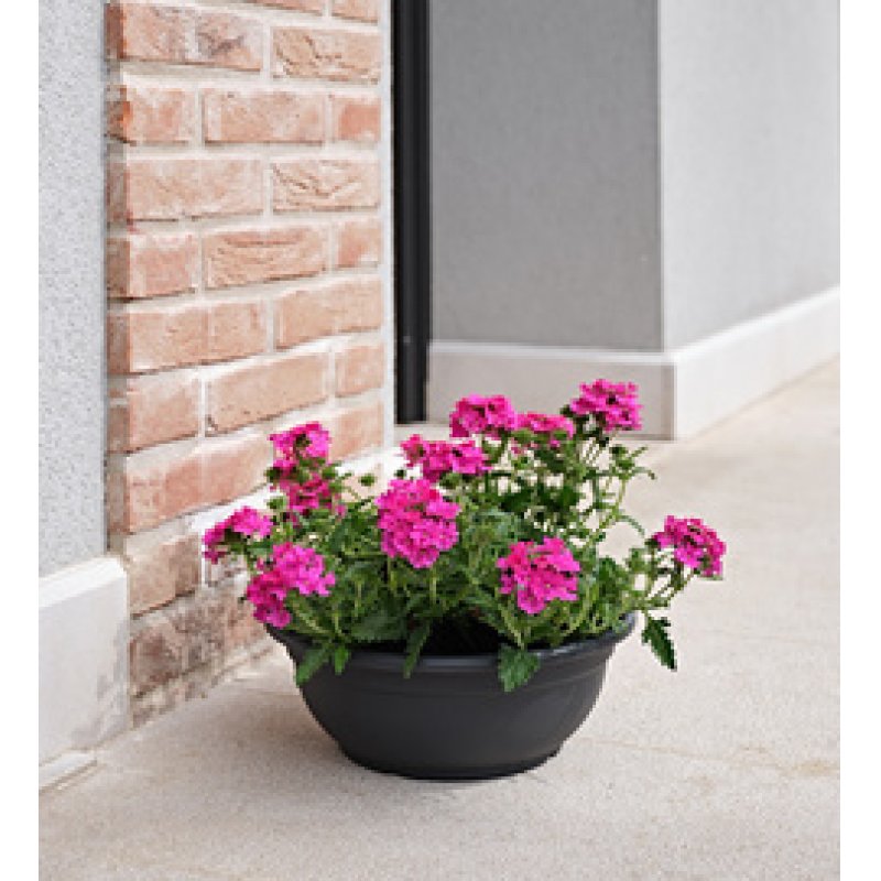 tera Bol à fleurs "Ebla", diamètre: 200 mm, anthracite