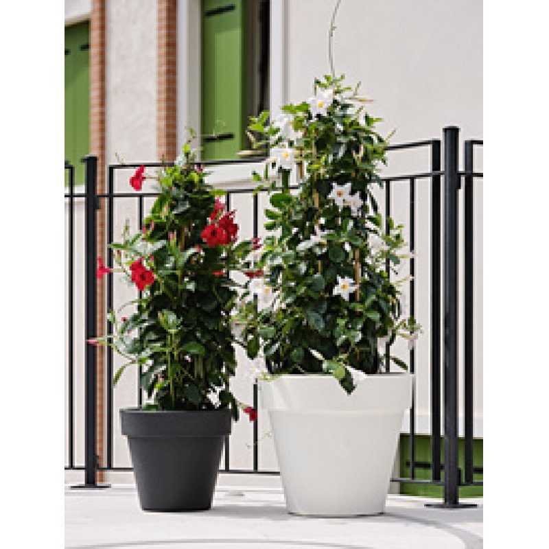 tera Pots de fleurs "Standard One 30", antracite