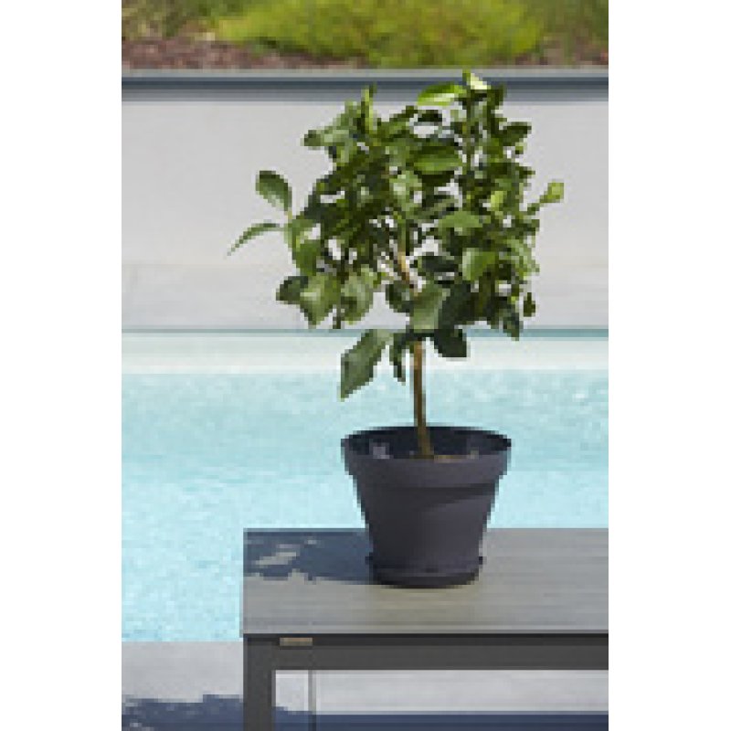 Poétic Pot de fleurs ROMEO, rond, diamètre 300 mm, granite