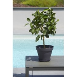 Poétic Pot de fleurs ROMEO, rond, diamètre 350 mm, taupe