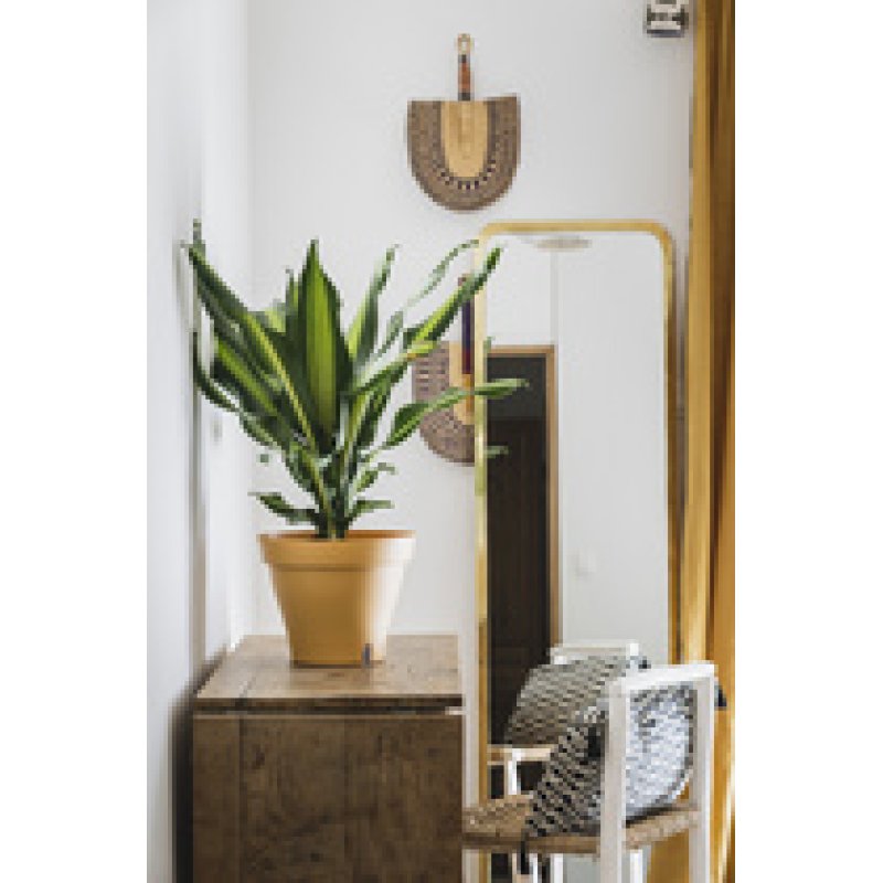 Poétic Pot de fleurs PAPYRUS, diamètre: 245 mm, menthe