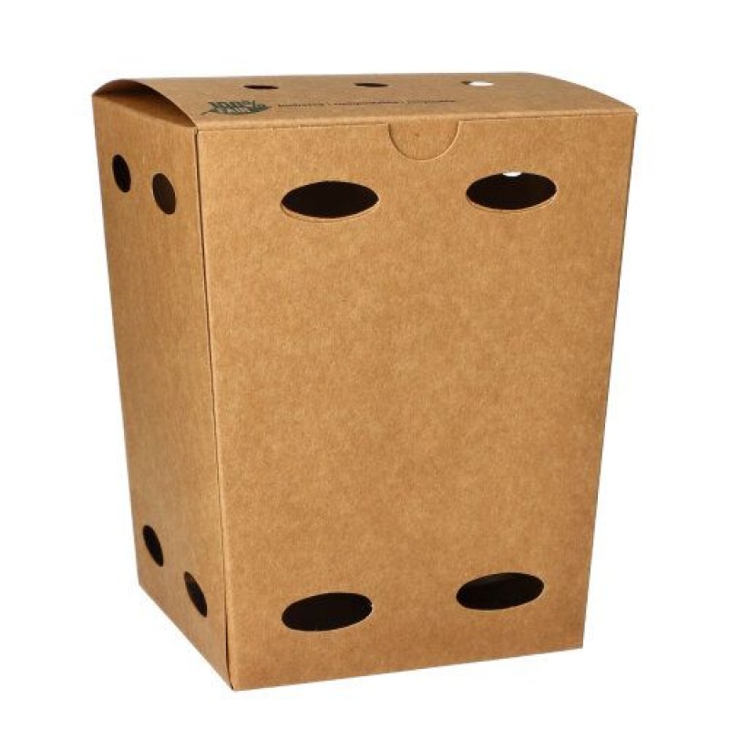 Papstar 87259 boite de stockage de nourriture jetable Carton Marron