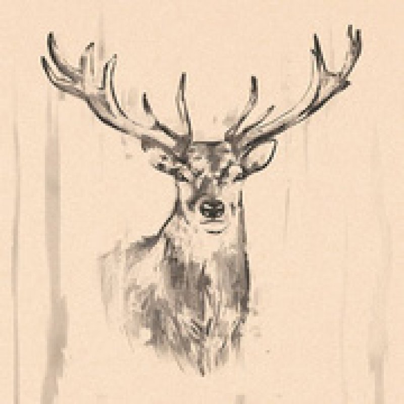 PAPSTAR Serviettes à motif "Deer", 330 x 330 mm, naturel