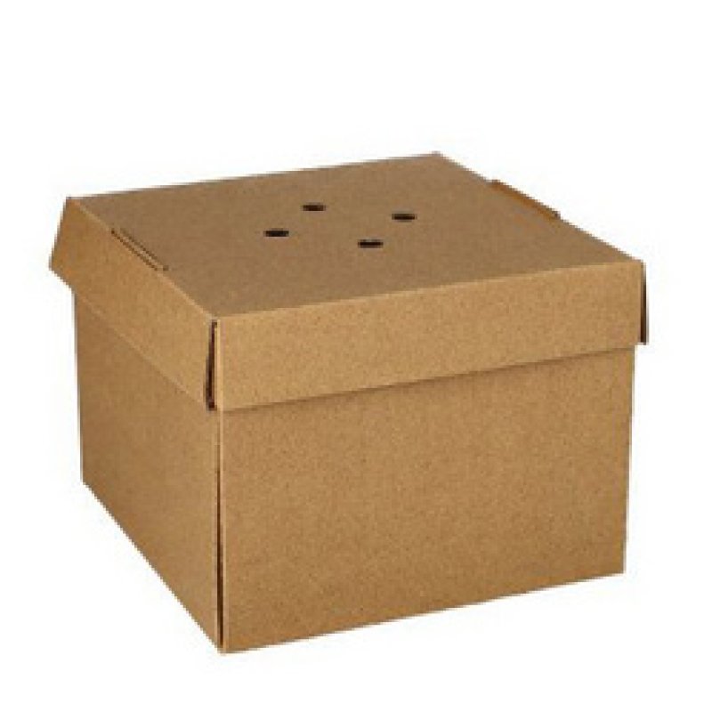 PAPSTAR Boîte à burger "pure" pliable