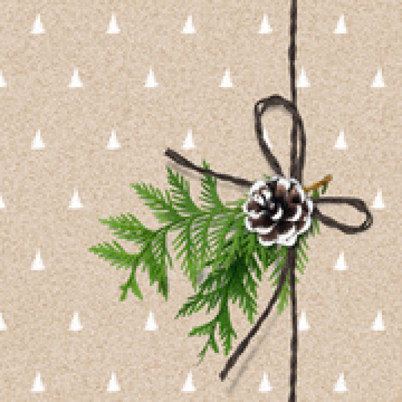 PAPSTAR Serviette à motif de Noël "It's cold outside"