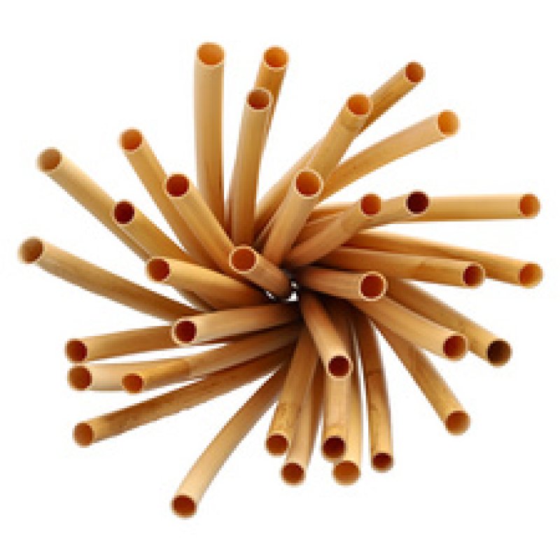 PAPSTAR Paille en roseau "pure", 200 mm, naturel