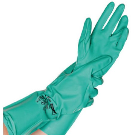 HYGOSTAR Gant universel en nitrile "PROFESSIONAL" XL, vert