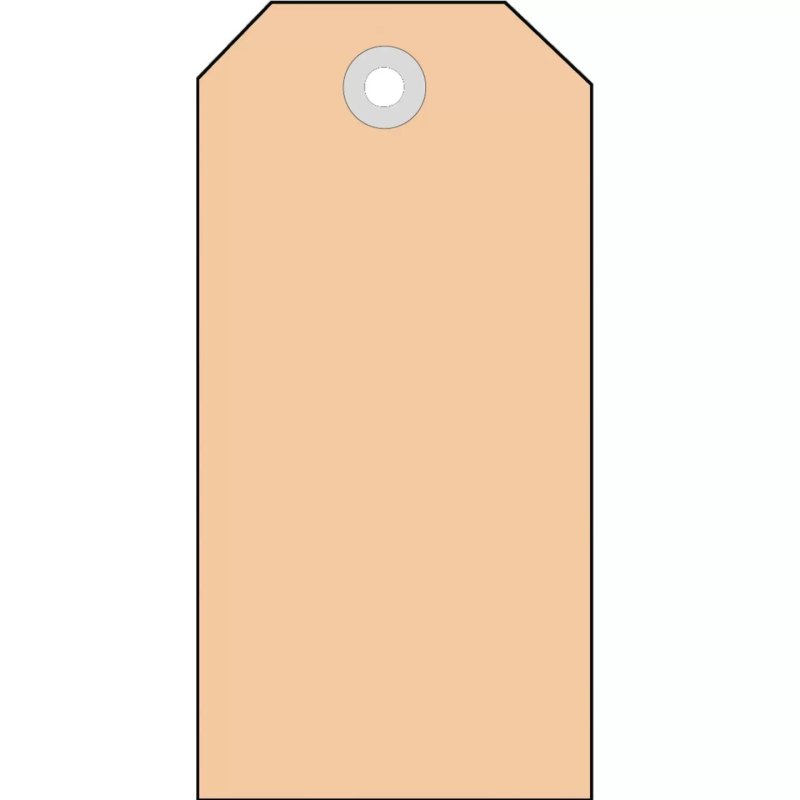 HERMA Shipping tags 60x113 mm with plastic eyelets 1000 pcs.