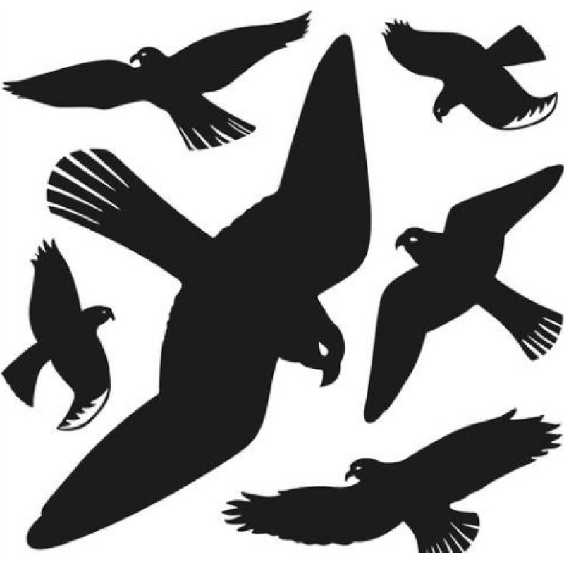 HERMA Oiseaux de vitres, film, résistant aux