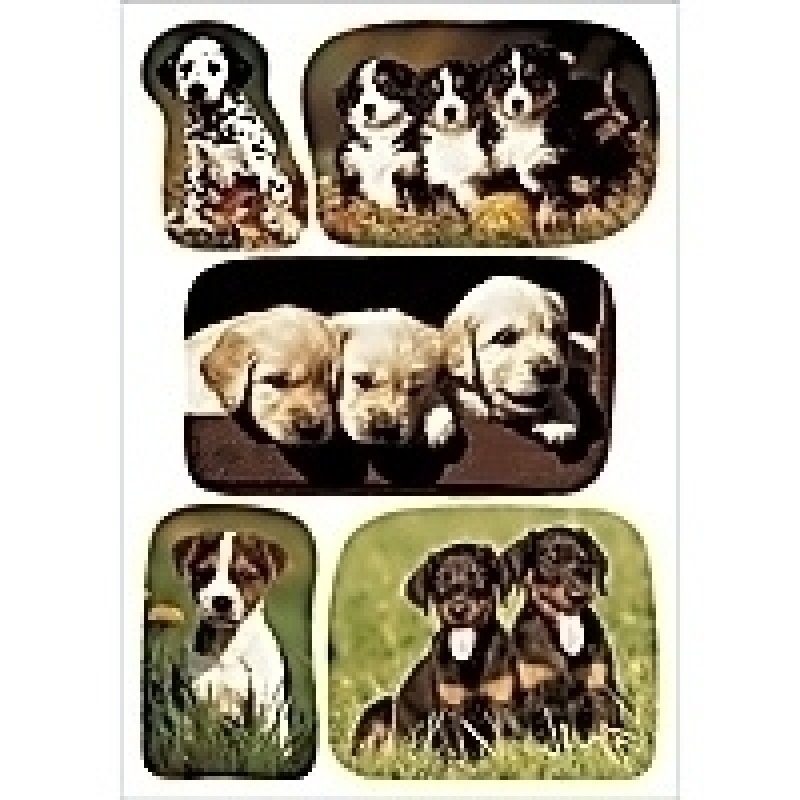 HERMA DECOR stickers photos of puppies 3 sheets self-adhesive label
