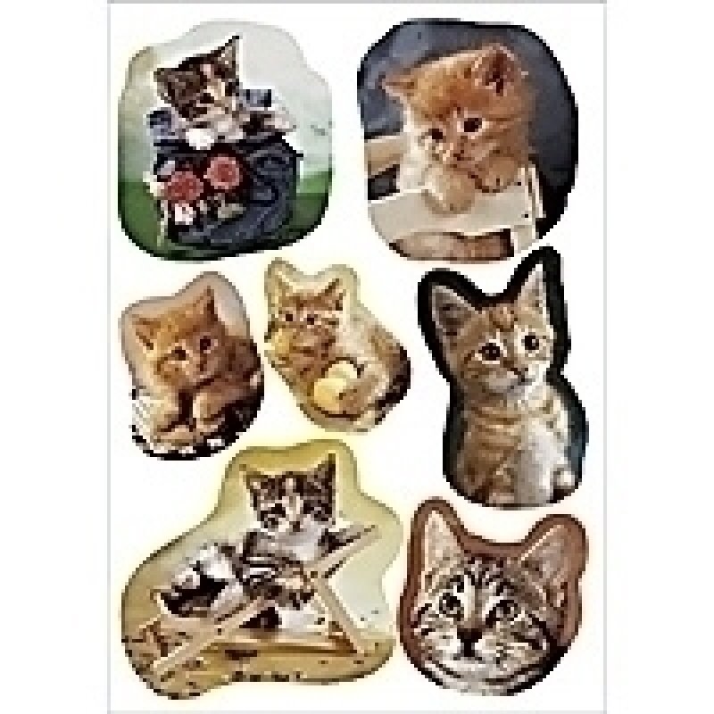 HERMA DECOR stickers little cats 3 sheets étiquette auto-collante