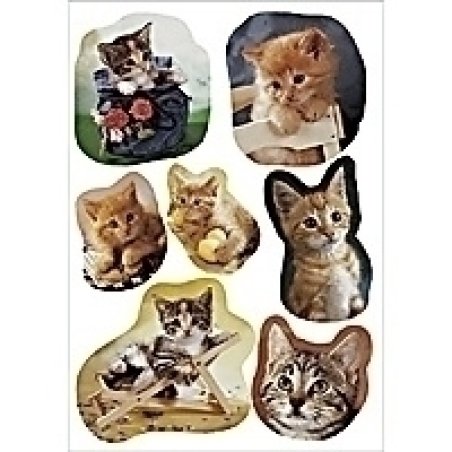 HERMA DECOR stickers little cats 3 sheets self-adhesive label