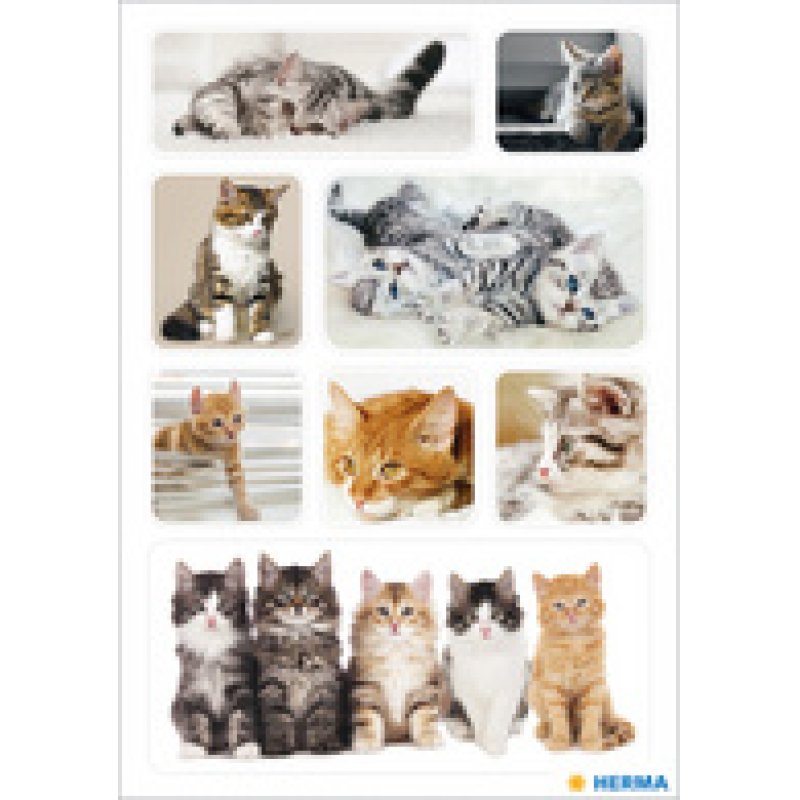 HERMA Autocollants DECOR "Chatons"