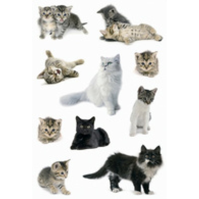 HERMA Autocollants DECOR "Chatons"