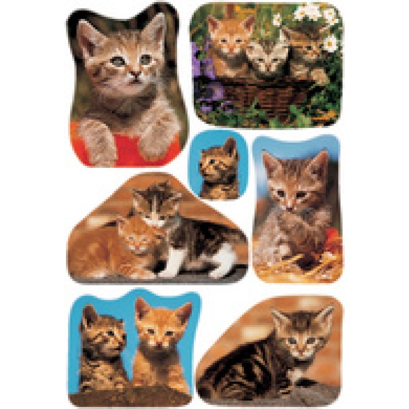 HERMA Autocollants DECOR "Chatons"