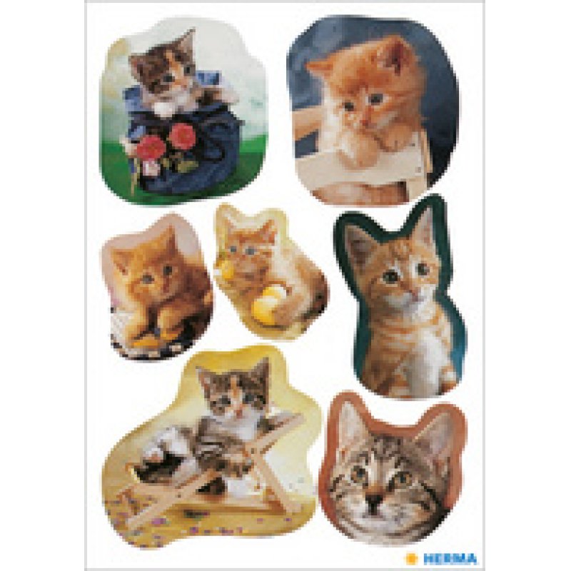 HERMA Autocollants DECOR "Chatons"