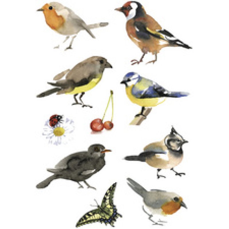 HERMA Sticker DECOR "Oiseaux de chez nous"