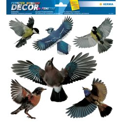 HERMA Etiquette de signalisation "oiseaux", multicolore
